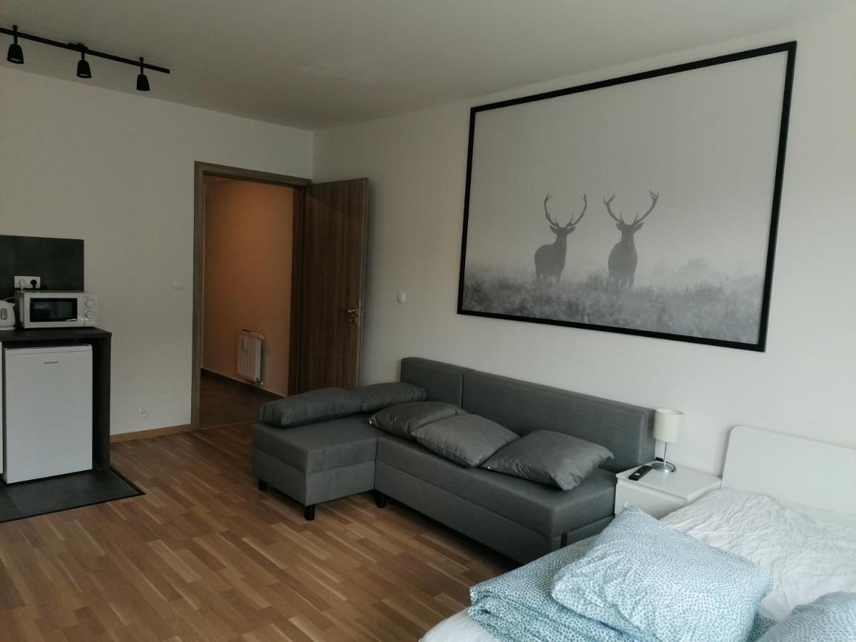 Brand New Studio Apartment #31 In Brand New Building With Free Parking In The Center Praga Zewnętrze zdjęcie